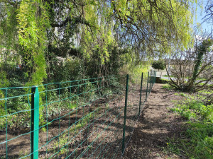 Photo de galerie - Clôture Grillage