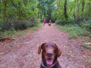 Photo de galerie - Balade co'