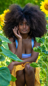 Photo de galerie - Photographe