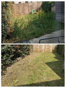 Photo de galerie - Tonte pelouse 