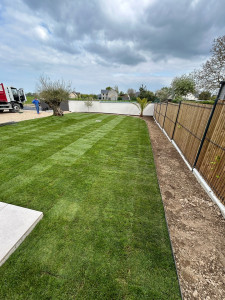 Photo de galerie - Gazon de placage 