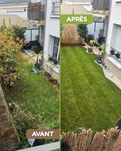 Photo de galerie - AVANT / APRÈS : Dessouchage • Retournement et nivelage de la terre • Création de bordures pierres et végétales • Pose de gazon plaqué • Plantation de végétaux 