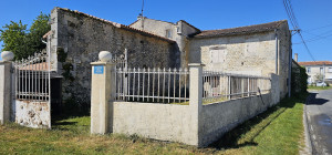 Photo de galerie - Traitement murette APRES 