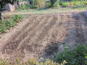 Photo de galerie - Nettoyage d' un jardin 