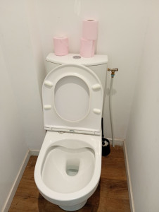 Photo de galerie - Nettoyage toilette 