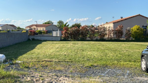 Photo de galerie - Tonte pelouse