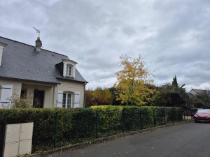 Photo de galerie - Paysagiste - Aménagement du jardin