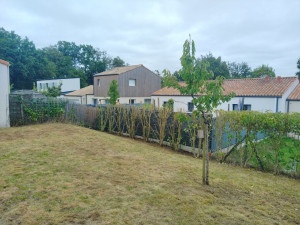 Photo de galerie - Taille d'une haie d'un locatif de Vendée habitat