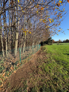 Photo de galerie - éclaircissement d’une propriété