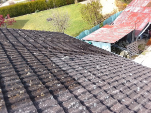 Photo de galerie - Traitement de toiture tuiles béton 