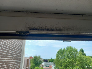 Photo de galerie - Ménage