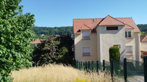 Photo de galerie - Elagage et coupe d'arbres