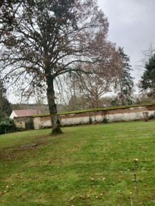 Photo de galerie - Photos après ramassage de feuilles ? 