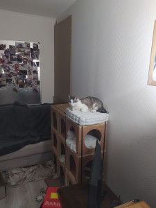 Photo de galerie - 1 amour 