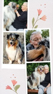 Photo de galerie - Garde chien