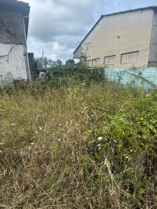 Photo de galerie - Débroussaillage de ronces