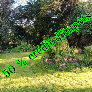 Photo de galerie - Tonte de pelouse - Débroussaillage