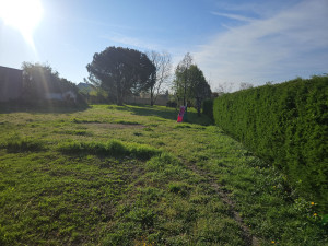 Photo de galerie - Tonte de pelouse 