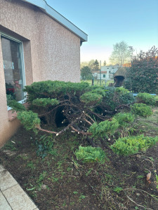 Photo de galerie - Taille en nuage 