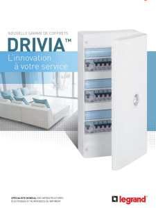 Photo de galerie - Tableau électrique Drivia Legrand 