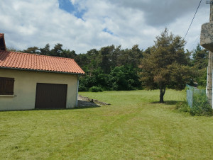 Photo de galerie - Tonte et débroussaillage