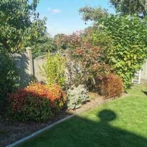 Photo de galerie - Paysagiste - Aménagement du jardin