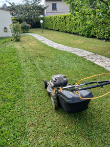 Photo de galerie - Une belle tonte effectuée