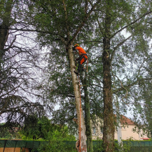 Photo de galerie - Démontage avec précision pour sauvegarder la clôture 
