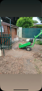 Photo de galerie - Dessouchage sapin 