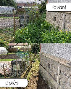 Photo de galerie - Débrousaillage