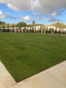 Photo de galerie - ? Tonte de pelouse / Jardinage Confiez-moi l’entretien de votre jardin pour un extérieur toujours propre et agréable. Tonte de pelouse, taille de haies et petits travaux d’entretien : je m’adapte à vos besoins pour un résultat soigné et rapide.