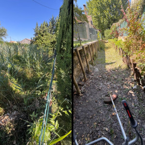 Photo de galerie - Tonte de pelouse - Débroussaillage