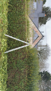 Photo de galerie - Taille 