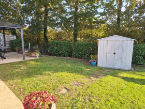 Photo de galerie - Tontes de pelouses