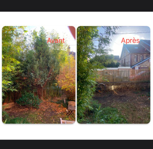 Photo de galerie - Taille de haies et d'arbustes