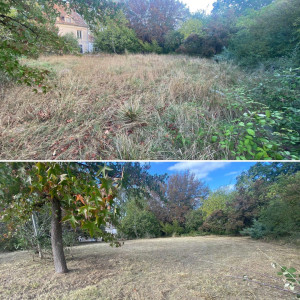 Photo de galerie - Tonte Rotofile