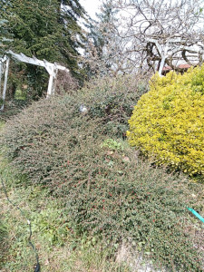 Photo de galerie - 2026