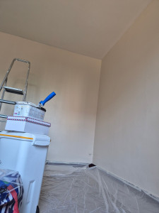 Photo de galerie - Fibre peintes 