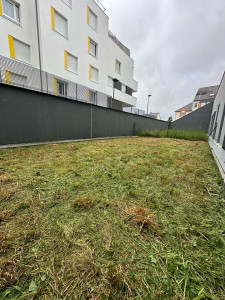 Photo de galerie - Tonte de pelouse - Débroussaillage