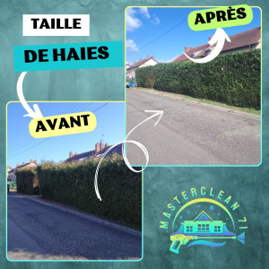 Photo de galerie - Taille de haies et d'arbustes