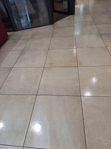 Photo de galerie - Nettoyage sol avec la monobrosse 