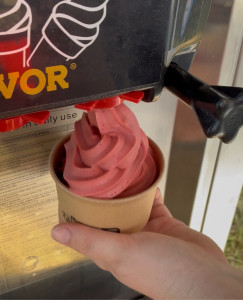 Photo de galerie - Réalisation de glace artisanale 