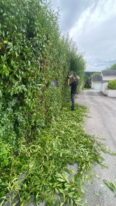 Photo de galerie - Taille de 15m de long