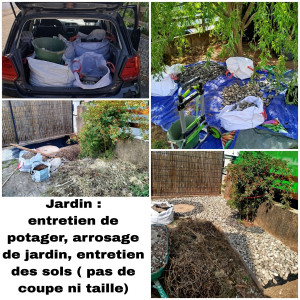 Photo de galerie - Entretien de jardin, nettoyage, petit aménagement avec différentes pierres. Sur les photos du bas, mise en valeur d'un églantier sauvage qui a poussé tout seul. 