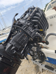 Photo de galerie - Entretien Hors-bord 