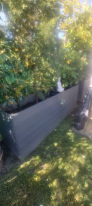 Photo de galerie - Création de bacs à plantes sur mesures. 