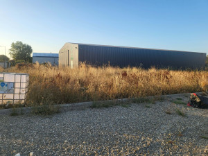 Photo de galerie - Terrain en friche a remettre en état 