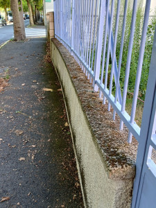 Photo de galerie - Aide à domicile