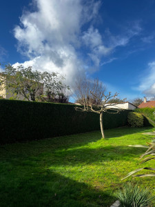 Photo de galerie - Taille de haies et d'arbustes