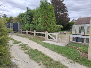 Photo de galerie - Taille de haies et d'arbustes